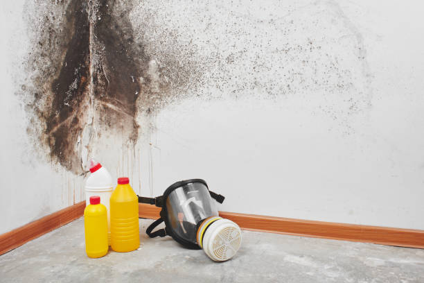 Hot Springs, SD Mold Remediation Company