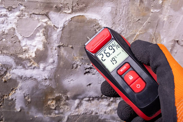 Best Residential Mold Remediation in Hot Springs, SD
